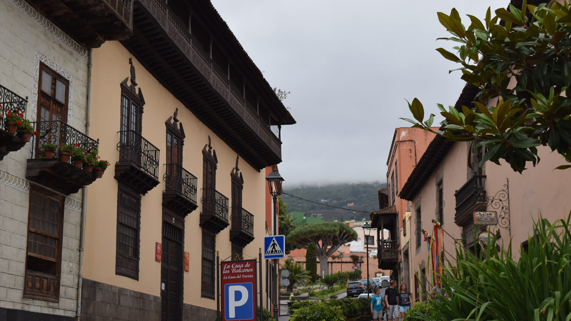 museo de las alfombras La Orotava