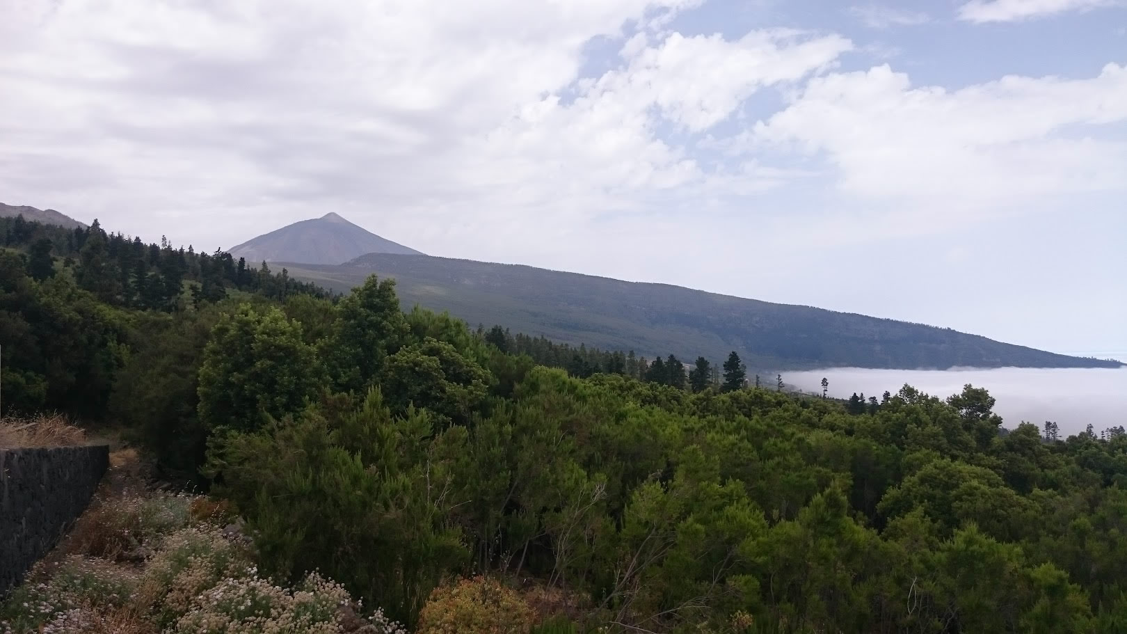 Teide, Tenerife felhő, szép fa
